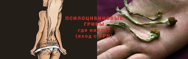 скорость Вяземский