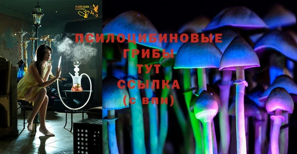 скорость Вяземский