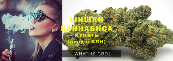 бошки Тайга