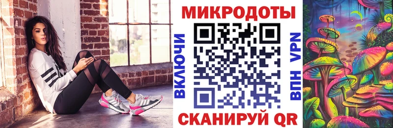 купить наркоту  Лодейное Поле  Галлюциногенные грибы Cubensis 